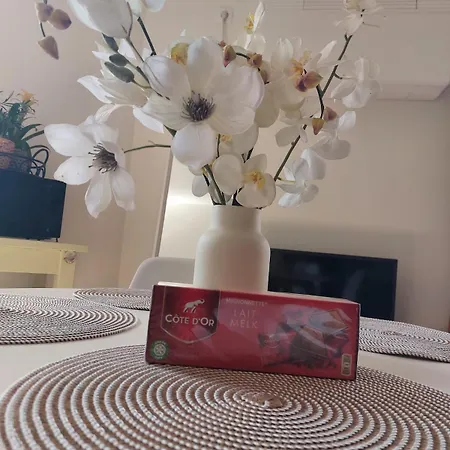 Calme Et Cosy * Louvain-la-Neuve