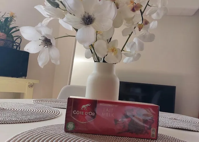 Calme Et Cosy * Louvain-la-Neuve