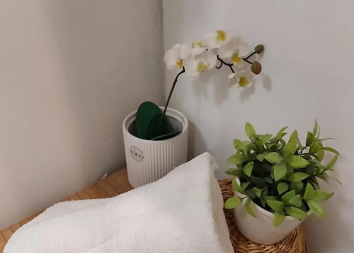 Calme Et Cosy Appartement